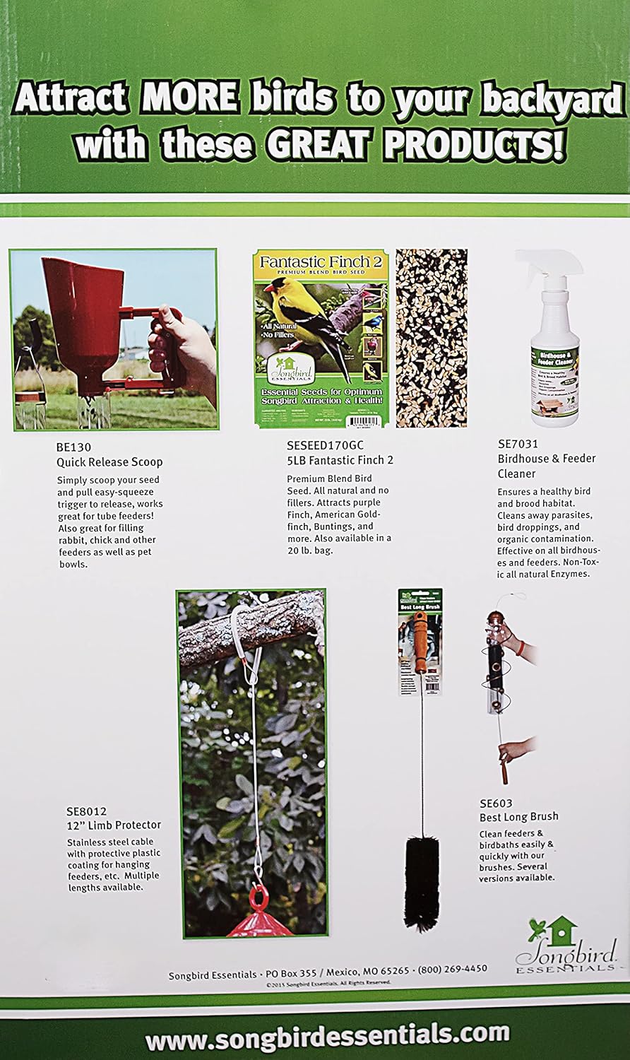 Comparing Top Bird Feeders: Premium, Metal, and Giant Options